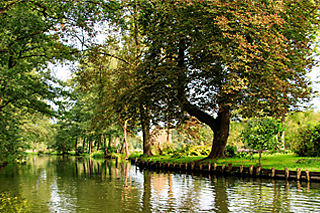 Idyllischer Spreewald